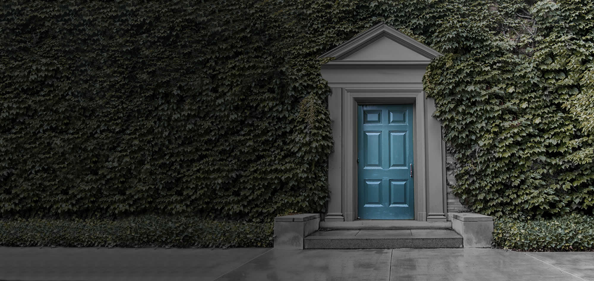 Beutel, Goodman & Company Ltd.