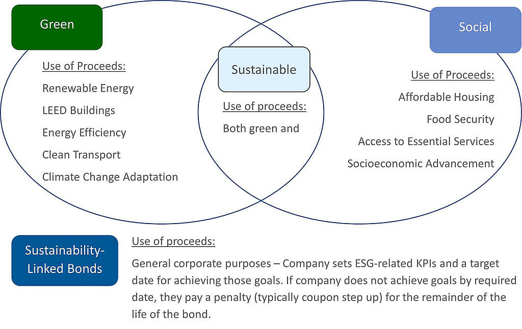 The World of Sustainable Finance