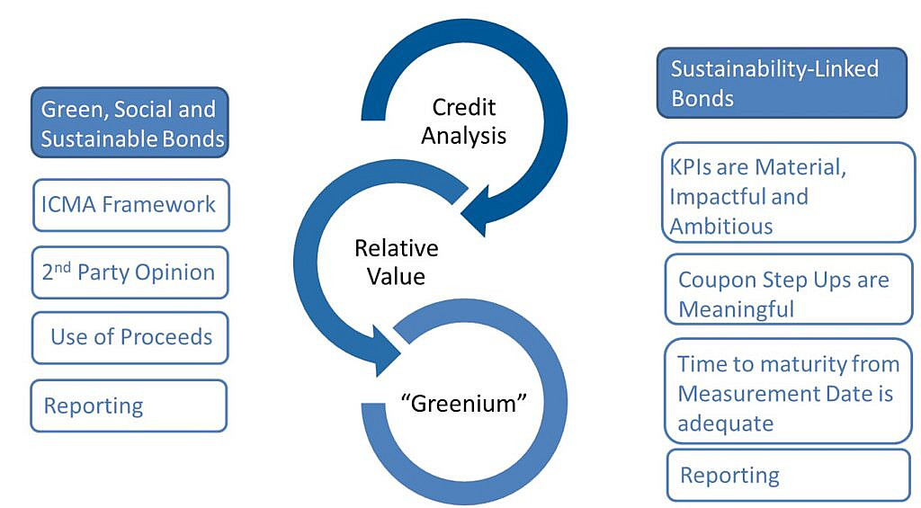 Beutel Goodman’s Sustainable Finance Evaluation Process