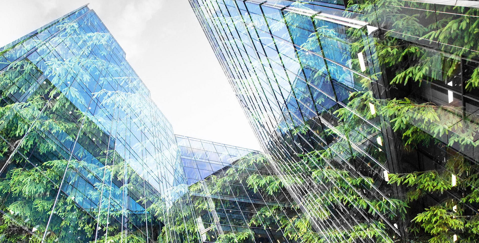 greencity doubleexposureoflushgreenforestandmodernskyscraperswindows