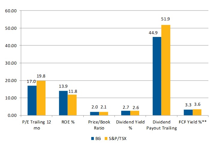 Figure 1 BG Canadian Equity portfolio vs S&P TSX Composite Index