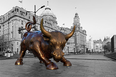 Bulls on Parade