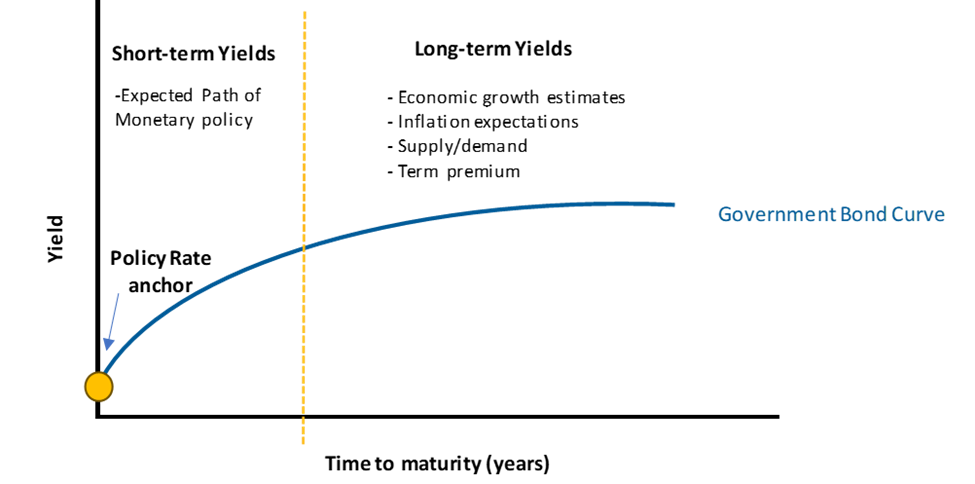 The following chart shows a stylized representation of a normal (upward sloping) yield curve. The front end is anchored at the policy rate. Short-term yields reflect the expected path of monetary policy and long-term yields reflect economic growth estimates, inflation expectations, supply/demand dynamics and the term premium.