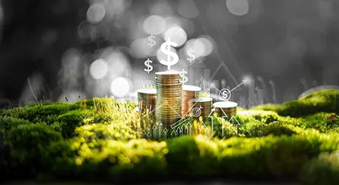 The State of the Sustainable Debt Market